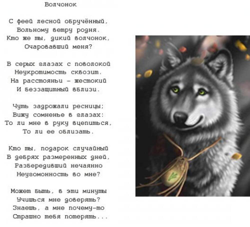 Со взглядом волчицы аккорды. Стих про волчонка. Стих про волка. Стих про волка для детей.