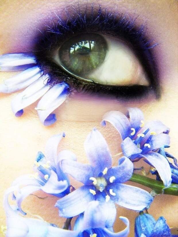 Красивые глаза в марте. Аватарка глаза женщины. Глаза девушки в цветах. Красивые картинки. Красивые цветы на аватарку.