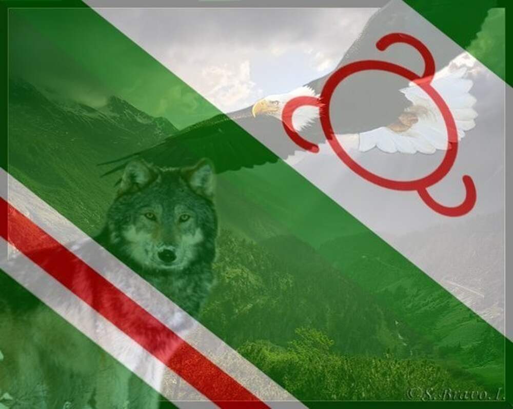 Чеченский и Ингушский флаг