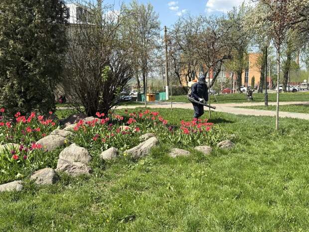 В тульских парках продолжаются антиклещевые обработки