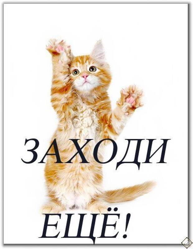 Это еще не все вам. Заходите надпись. Заходите еще картинки. Приходите еще надпись. Спасибо что зашли.