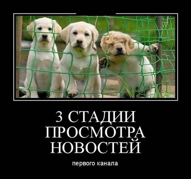 Демотиваторы демотиваторы, прикол, юмор