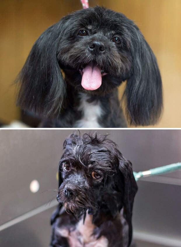 Before Vs. After Bath