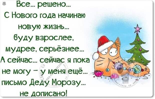 Статусы про самый лучший новый год