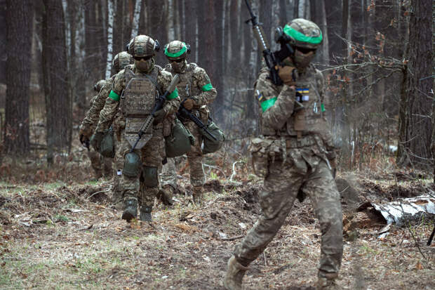 Военкор Кукушкин: ВСУ нарушают перемирие, поскольку Киев не контролирует военных