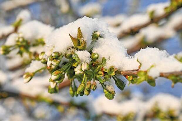 Неустойчивый характер: в Гидрометцентре Крыма рассказали о погоде на этой неделе