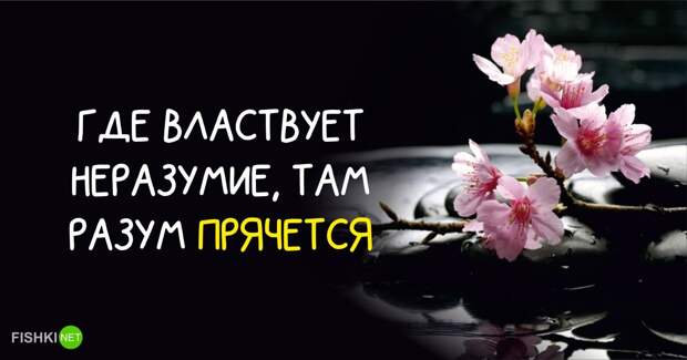 20 мудрых японских поговорок (продолжение)