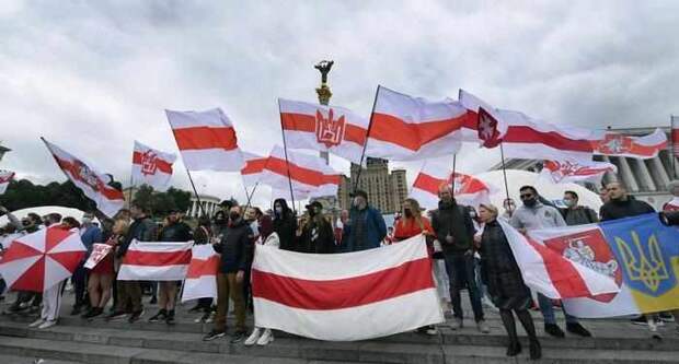 У беглых белорусских майданщиков большие проблемы