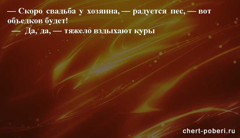 Самые смешные анекдоты ежедневная подборка chert-poberi-anekdoty-chert-poberi-anekdoty-59540230052020-2 картинка chert-poberi-anekdoty-59540230052020-2