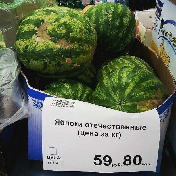 Поход в магазин чреват неожиданными встречами и уморительными ситуациями Поход в магазин чреват неожиданными встречами и уморительными ситуациями в магазине, на витрине, прикол, смешно, супермаркет, фото