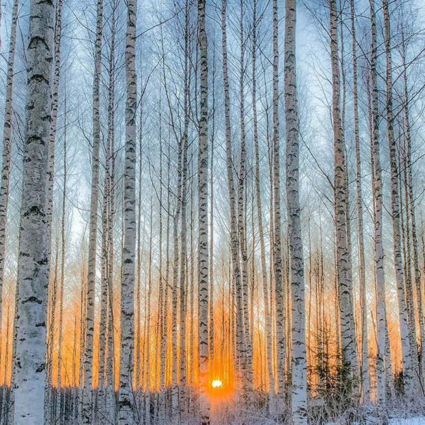 Фотографии Осси Сааринена.