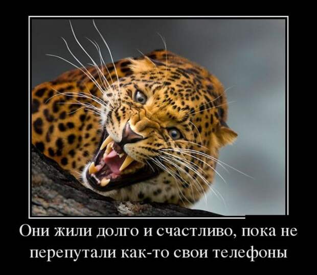 Демотиваторы (30 фото)