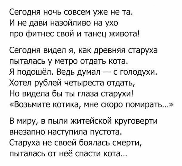 Смешные картинки с надписями для настроения (11 фото) Смешные картинки с надписями для настроения (11 фото)
