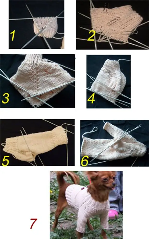 Подробное описание, как связать свитер для йорка спицами