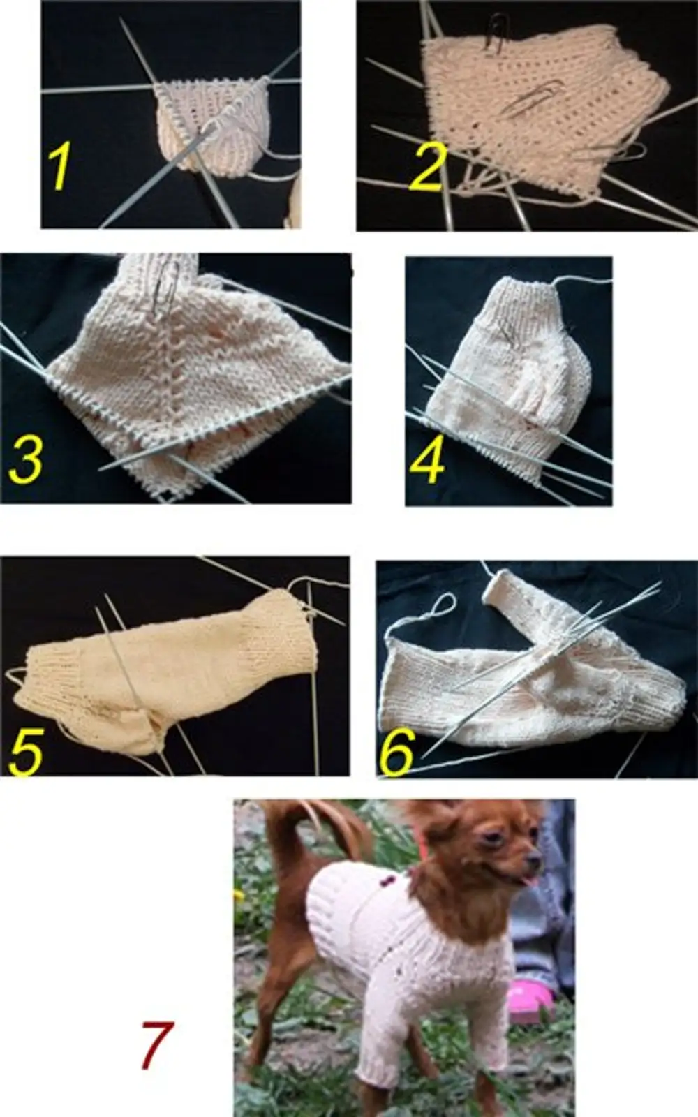 Вязание для собак мелких пород