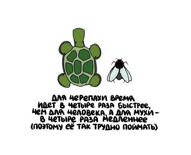 Интересные факты на все случаи жизни