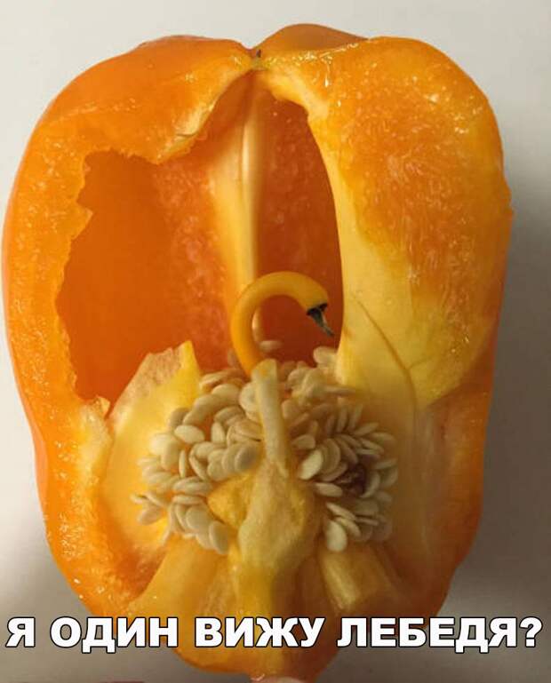 яя123