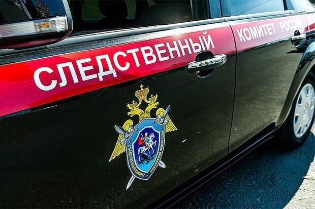 Охранник магазина в Москве выстрелил в катавшегося на самокате ребенка