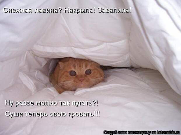 Мысли вслух :)