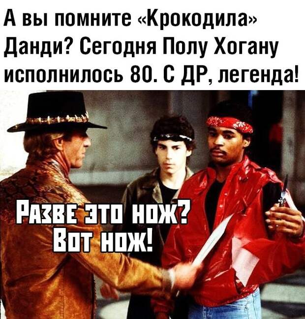 kartinok-prikolnyx-podborka-kartinki-smeshnye-kartinki-fotoprikoly