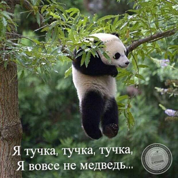 Тучка