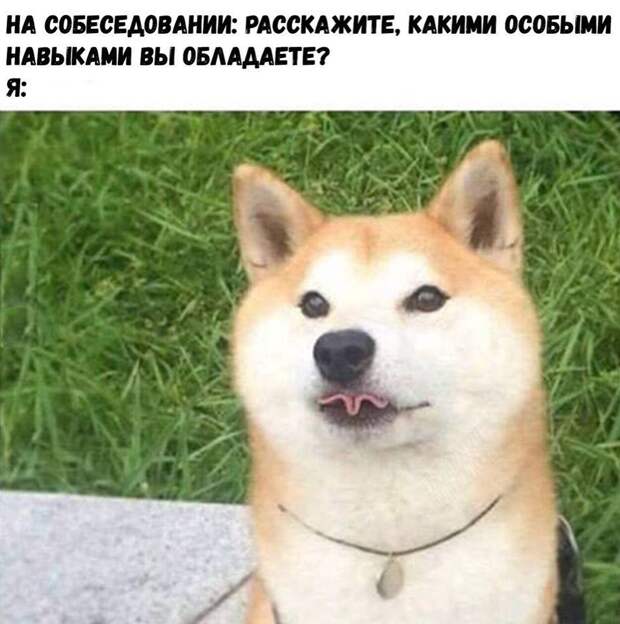 Подборка забавных картинок и фотографий с надписью (10 фото)