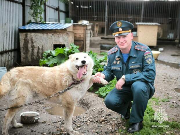 МЧС России заботятся о животных в приютах