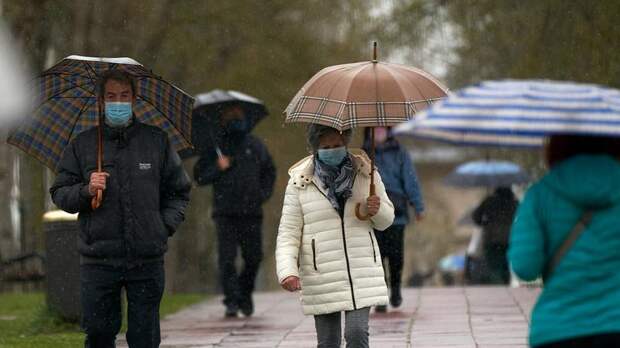 Утро понедельника в Ленобласти начнётся с дождя и мокрого снега