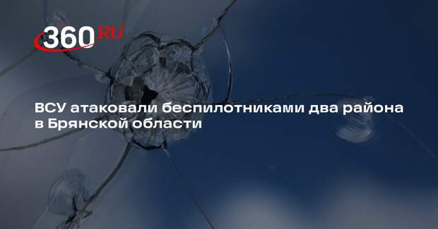ВСУ атаковали беспилотниками два района в Брянской области