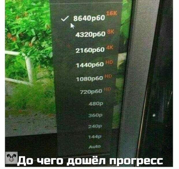 zdhxquuspca.jpg