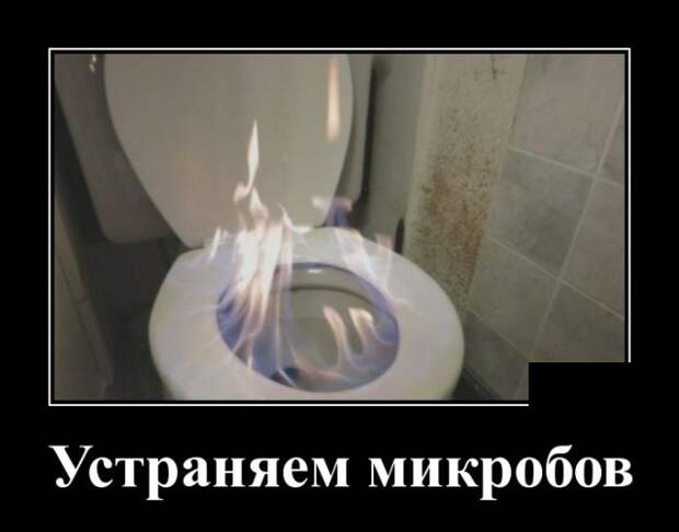 www.vsyako.net