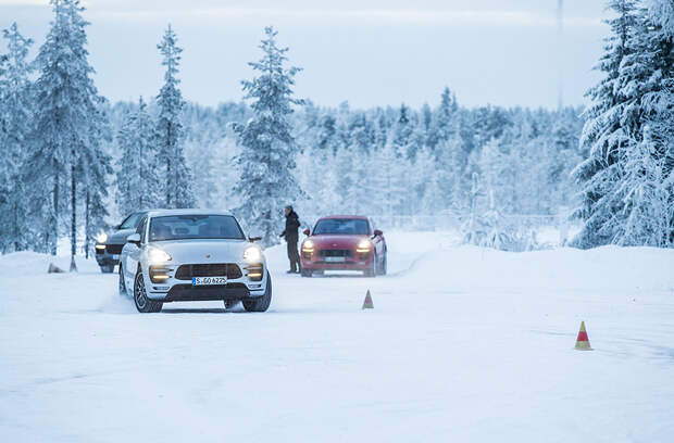 Porsche Macan Turbo стал на 40 сил мощнее и на 800 тысяч дороже. И мы на нем поездили. Фото 4