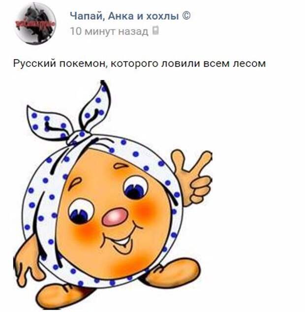 41c0b20c1bf4.jpg