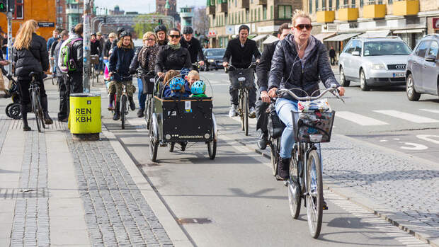 Горожане и туристы предпочитают использовать велосипед вместо автомобиля или автобуса для...