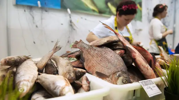 Роспотребнадзор напомнил о пользе жирной рыбы в зимнее время