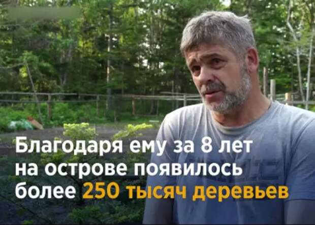 Житель Сахалина за свои деньги посадил 250 тысяч деревьев! Но местные власти отобрали его участок, где он выращивал саженцы.