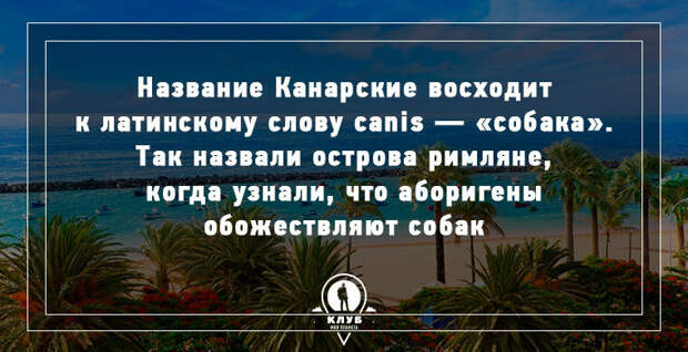 10 УДИВИТЕЛЬНЫХ ФАКТОВ О СОБАКАХ
