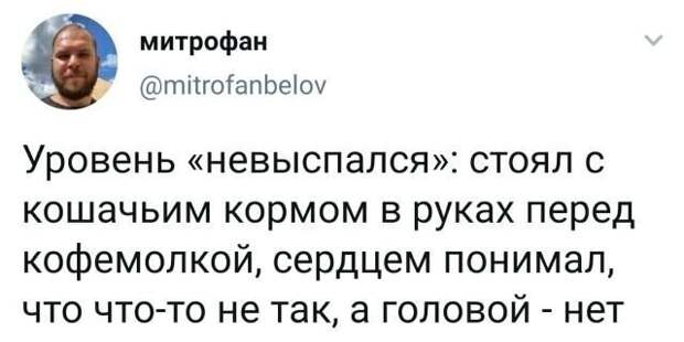 Смешные и поучительные скриншоты с просторов Рунета Смешные и поучительные скриншоты с просторов Рунета