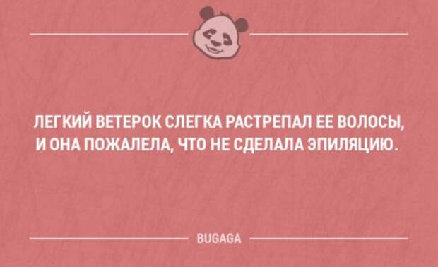 Прикольные фразы и забавные мысли. Часть 74 (16 шт)