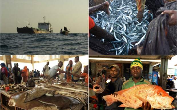 В богатом море Танзании рыбы становится все меньше
