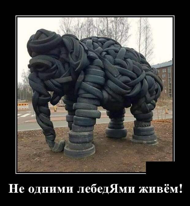 Демотиваторы