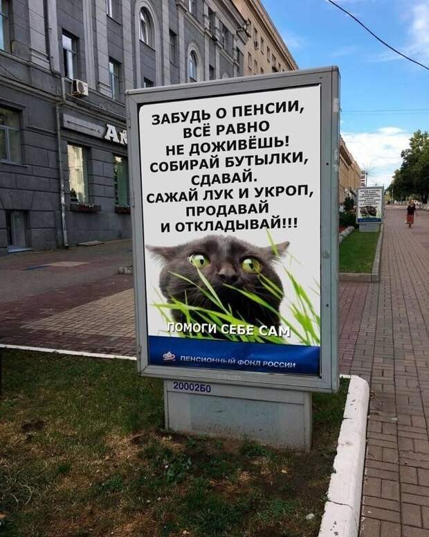 Курск режет правду-матку Курск режет правду-матку