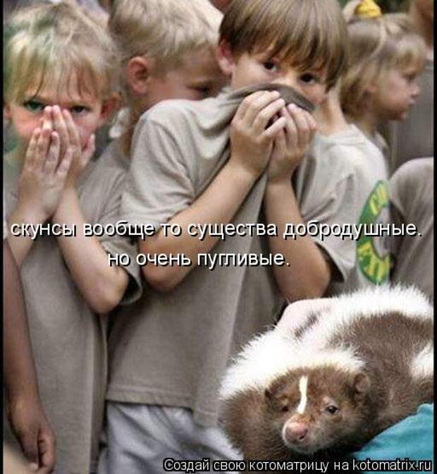 Мысли вслух :)