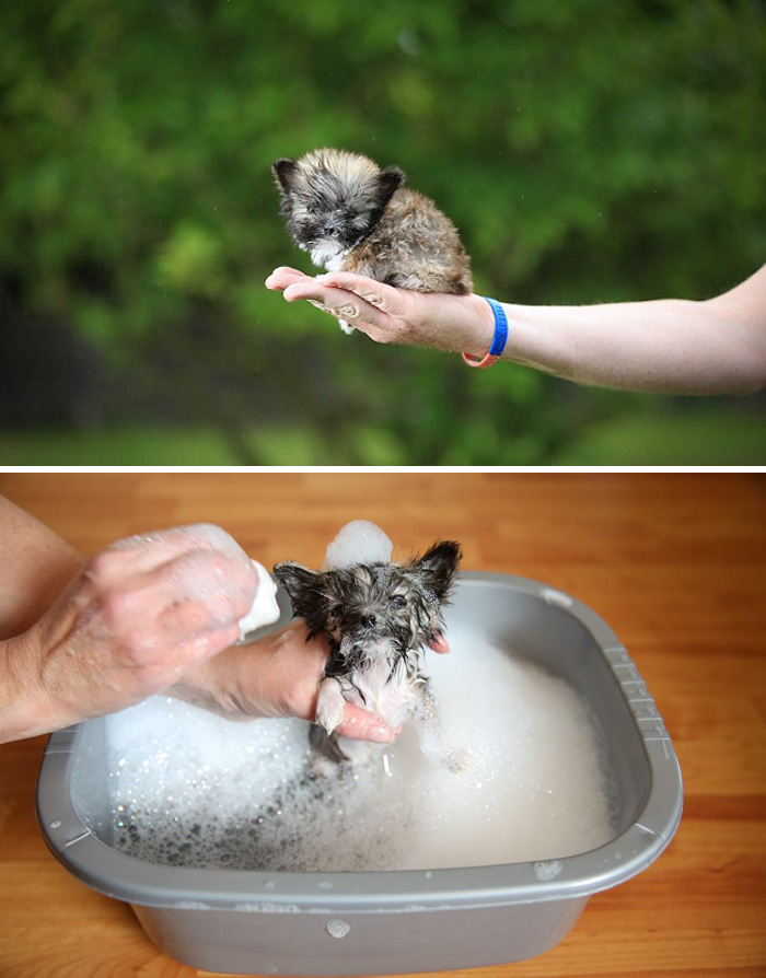 Before Vs. After Bath