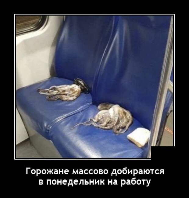 Демотиваторы 4 октября 2021 года