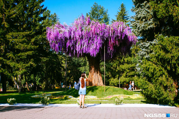 Флора Омск Фото