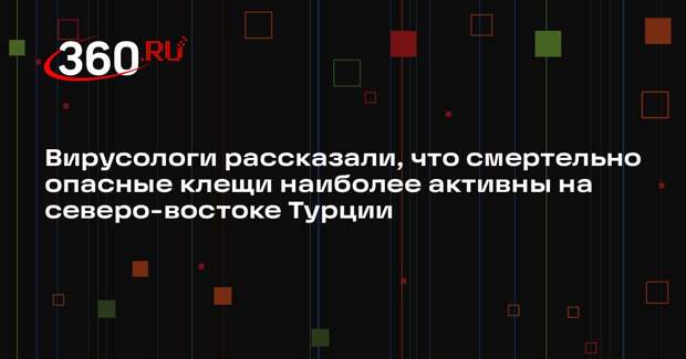 Вирусологи рассказали, что смертельно опасные клещи наиболее активны на северо-востоке Турции