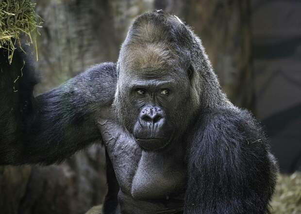 Чем занимались биологи в 2025 году