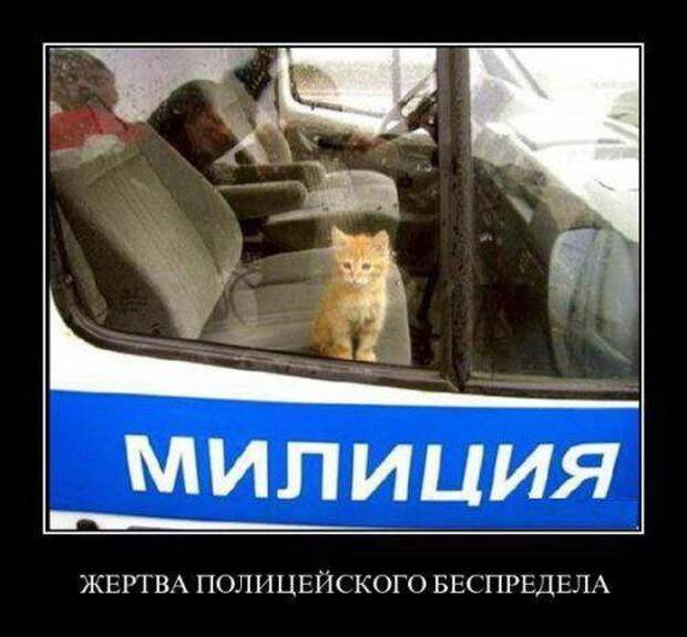 Про спасение России, честность и все что нужно для рыбалки - русские демотиваторы Про спасение России, честность и все что нужно для рыбалки - русские демотиваторы