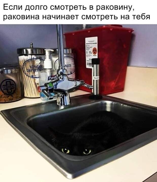 Прикольные картинки абавсём:D